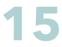 15 e1761218428540