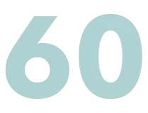 60 e1761218410574